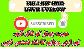 Follow And Back Follow
