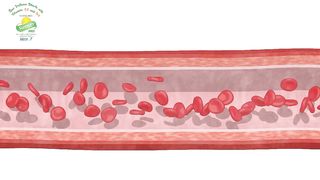 Keeping arteries healthy and flexible means having adequate Vitamin K2 to activate proteins that inhibit calcification.