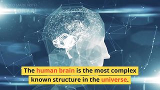 Top 10 Amazing Facts About Human Amazing facts Random Facts #Shorts#Short #YoutubeShorts #Anandfacts
