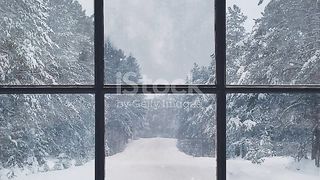 Snowfall views.
