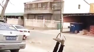Amazing skill