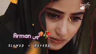 Pashto best tapy must watch