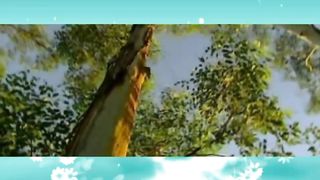 99 Names of Allah, Asma ul Husna