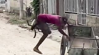 New funny video fantestic 2023