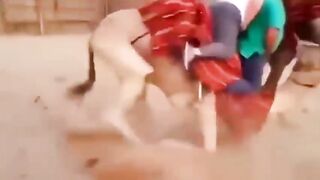 Amazing funny video2022