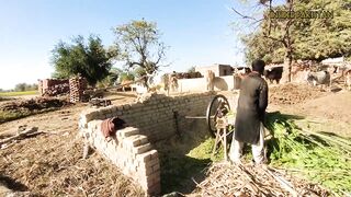 Punjabi Farmer Cutting Fodder With the Help of Gear Toka Machine | Old Gear Toka