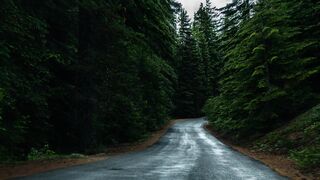 Deep Forest