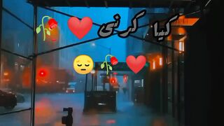 Amazing video