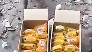 funny video||short video||entertainment video animal video