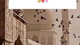 Trust Allah
