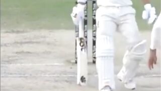 David Warner Vs Shaheen Afridi Funny Moments ????????????