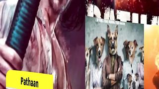 Pathan movie impact on other movies