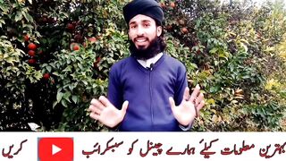 Shan e Siddique Akbar (R.A)