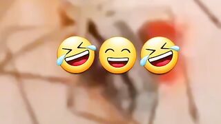 Funny ???? videos