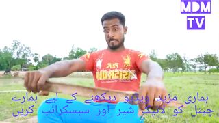 Funny Video