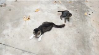 Playing Time.