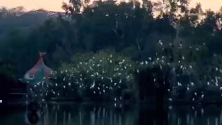 Beautiful Sunset Ayoub National Park Islamabad