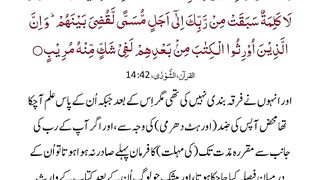 Islamic_video