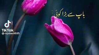 Parents are blessings of Allah