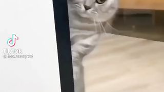 Why are you scaring me.