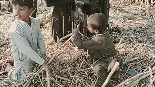 Farmer