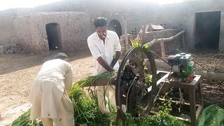 Daily village Life| village routine  | village Life|Daily routine