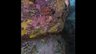 yonaguni/Japan