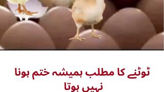 کبھی کبھی توٹنا نئی زندگی کا آغاز ہوتا ہے