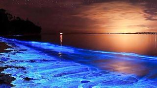 Vaadhoo beach