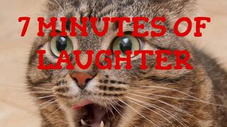 7 MINUTES OF LAUGHTER | THE BEST JOKES OF 2023 | ABOUT ANIMALS | FUNNY VIDEOS FROM INSTAGRAM