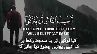 Teri reimat ka talabgar hu mala