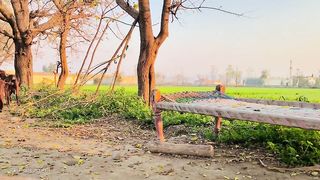 Village