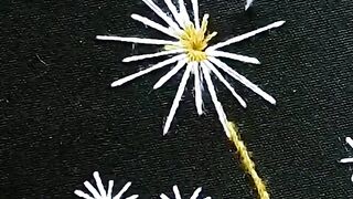 Hand embroidery ideas