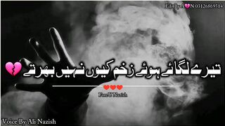Tery Lagay Howy Zakhm Q Nahi Bharty