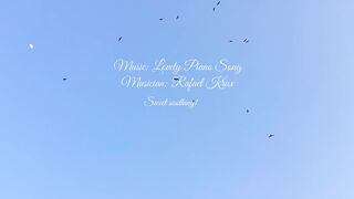 Black birds flaying on the blue sky.calm music