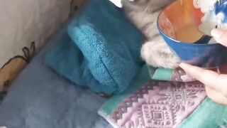 My Little Kitty got ill