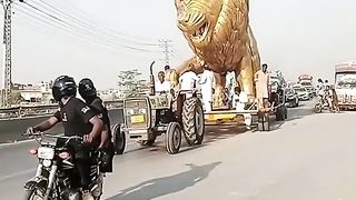 Deakhoo Bhi ktna bday Lion ???? ha for you vedio viral