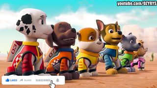 Paw Patrol Coffin Dance Cartoon #pawpatrol