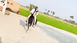 Naveed cheema