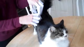 Paper Claws