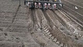 Maki ki bejaie in season drill video