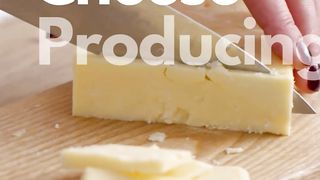 Top Cheese-Producing Countries in the World