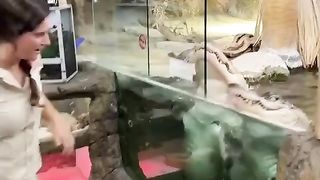 Most Viewed Reel #animals #reptile