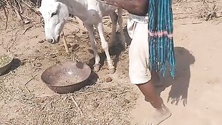 Funny Video