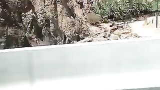 Khor Fakkan