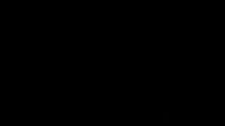 Bats-flying mammals| Facts| Birds|