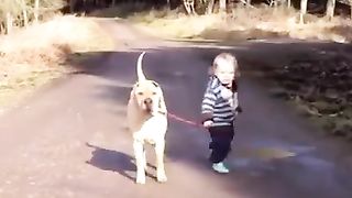 Doggy Friend