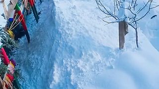 snow Fall walk enjoying