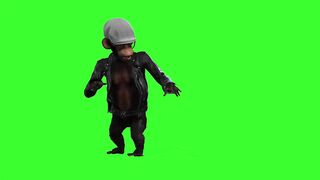 Adorable Monkey Shows Off Amazing Dance Moves in the Wild