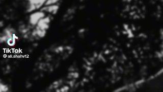NFAK Song ????????